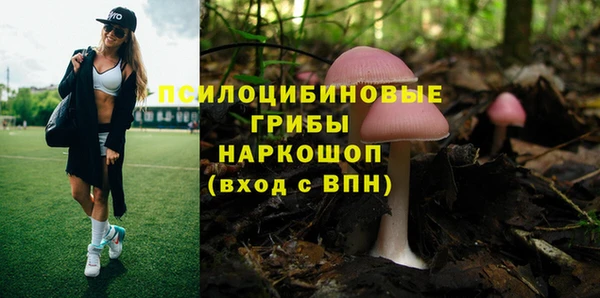 индика Верхнеуральск
