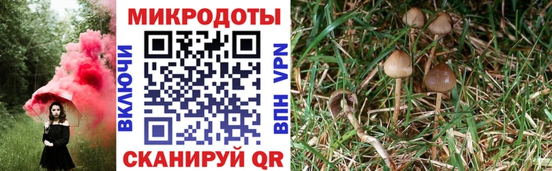 Галлюциногенные грибы мухоморы  Купить  Кудымкар 